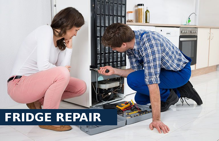 Fridge Repair Southfleet